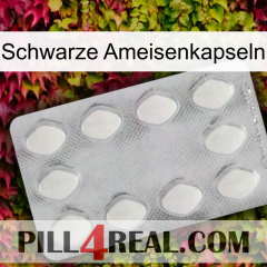Black Ant Capsules 16